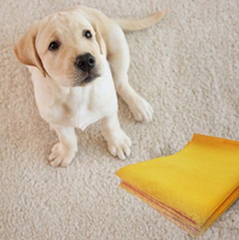 Home and kitchen products Miracle mat,
wonder broom,
as seen on tv broom wonderbroom Super Absorbent shammy,
Miracle shammy,
Shamwow Miracle shammy Whamo Magic Pens,
Costco Miracle Mat,
magic pens,
magic pens color changing Cleaning products,O